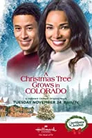 A Christmas Tree Grows in Colorado (2020) HDTV English