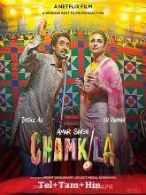 Amar Singh Chamkila (2024) HDRip Telugu