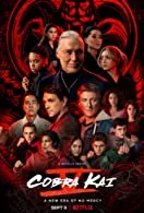 Cobra Kai Season 5 Complete (2022) HDRip Hindi Dubbed