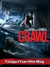 Crawl (2019) BRRip [Telugu + Tamil + Hindi + Eng] Dubbed