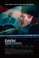 Dark Waters (2019) BRRip English