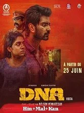 DNA (2025) HDRip Hindi