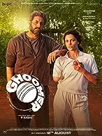 Ghoomer (2023) HDRip Hindi