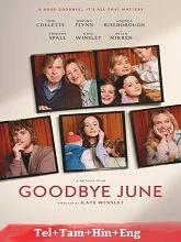 Goodbye June (2025) HDRip Telugu Dubbed