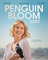 Penguin Bloom (2021) HDCam English