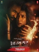 Tere Ishk Mein (2025) HDRip Hindi