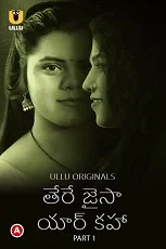 Tere Jaisa Yaar Kaha Part 1 Ullu Originals (2023) HDRip Hindi