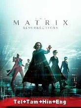 The Matrix Resurrections (2021) DVDScr English