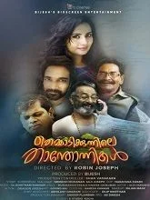 Themmadi Kunnile Thanthonnikal (2025) HDRip Malayalam
